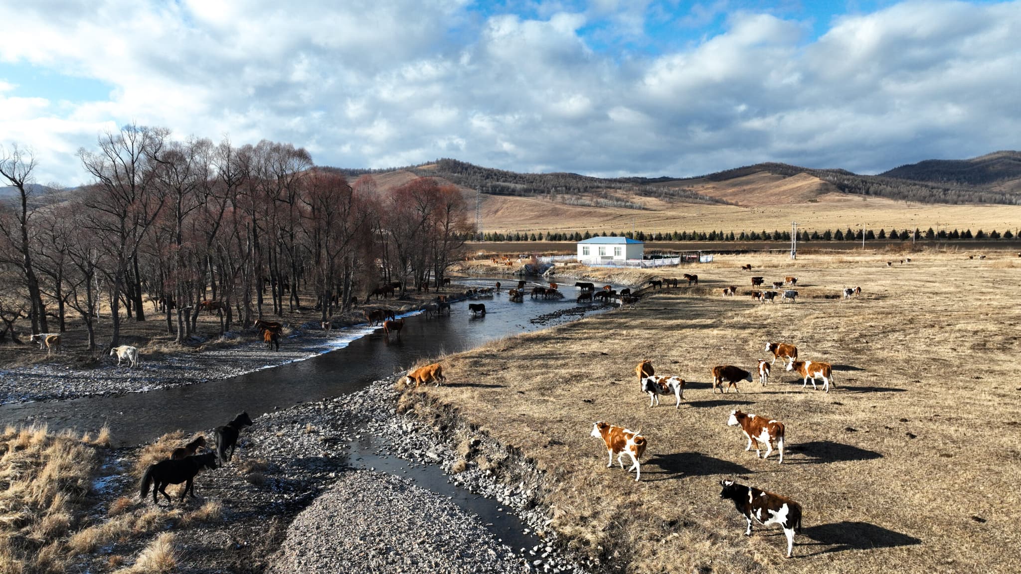 สีสันธรรมชาติต้นฤดูหนาวในมองโกเลียใน