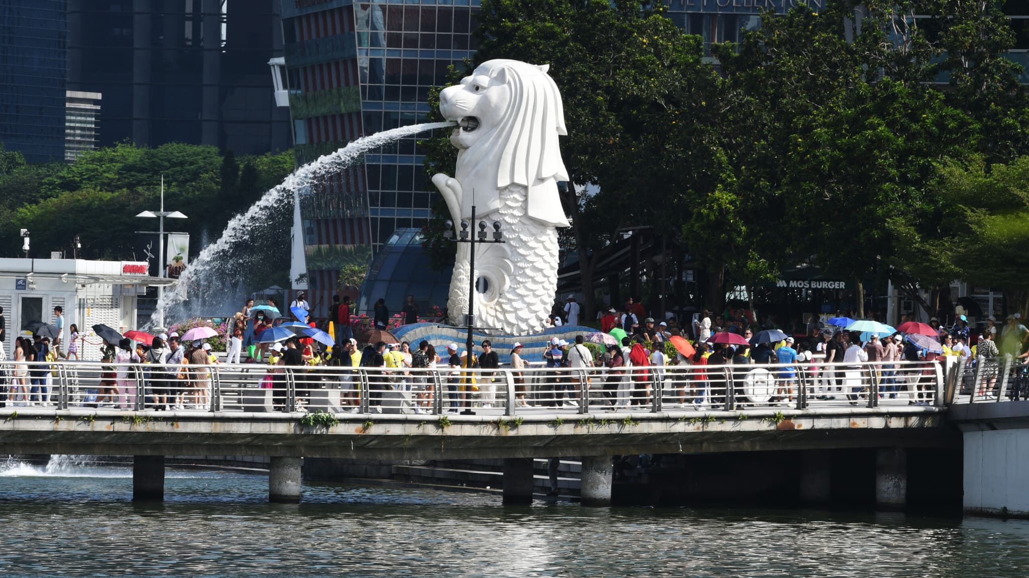 ตำรวจสิงคโปร์สอบสวนผู้ต้องสงสัย 'คดีหลอกลวง' รวม 288 ราย