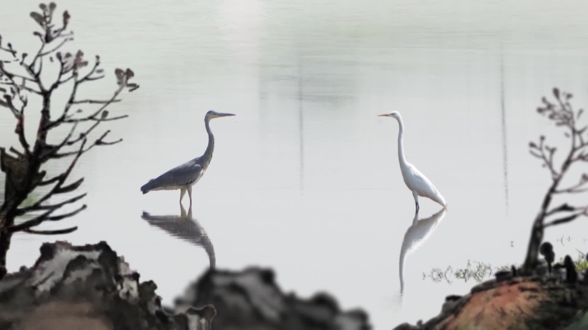 ต้อนรับ 'วันลี่ตง' สัญลักษณ์เข้าสู่ฤดูหนาวในจีน