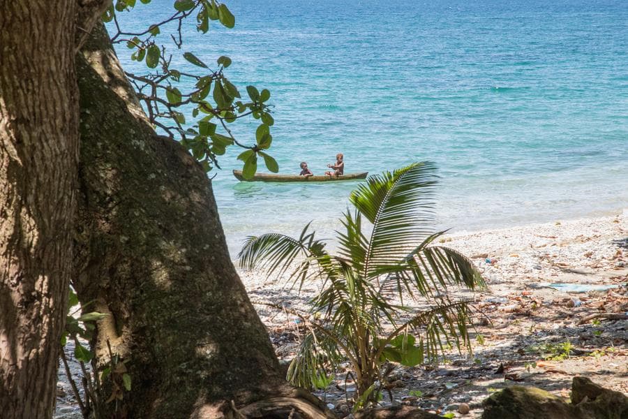 นักวิทย์ค้นพบ 'ปะการัง' ใหญ่สุดในโลก ในมหาสมุทรแปซิฟิกตะวันตกเฉียงใต้
