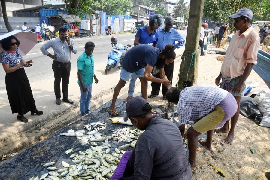 Asia Album : ส่อง 'ตลาดปลา' สุดคึกคักแบบฉบับชาวศรีลังกา