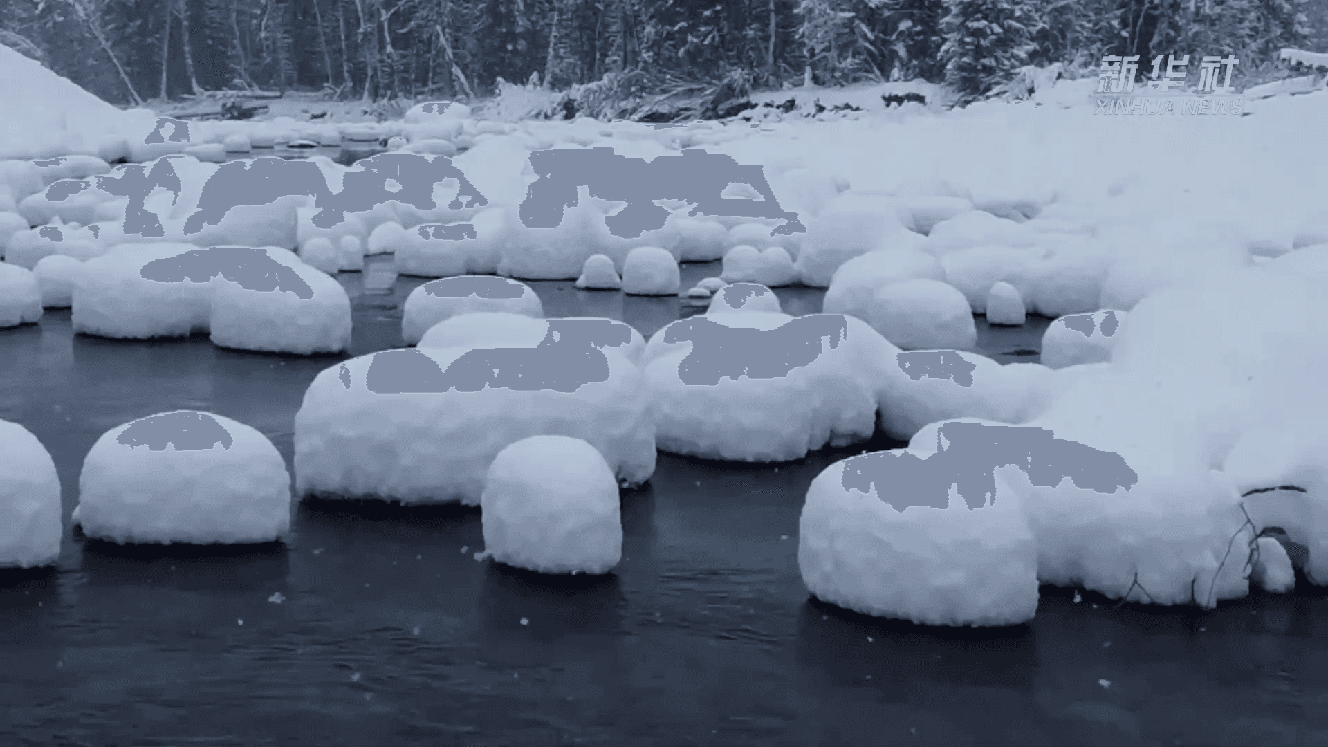 หิมะขาวตกห่มหิน ราวดังดอก 'เห็ดหิมะ' บานในซินเจียง