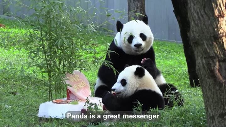 มาเป็น 'หุ้นส่วนแพนด้า' กันเถอะ!