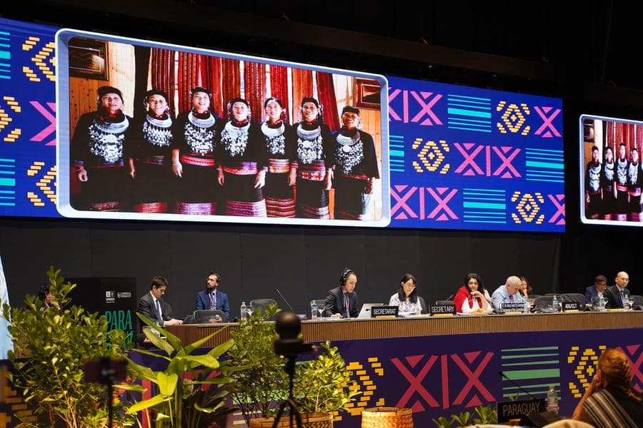 ยูเนสโกขึ้นทะเบียน 'เทคนิคทอผ้ากลุ่มชาติพันธุ์หลี' เป็นมรดกวัฒนธรรมที่จับต้องไม่ได้