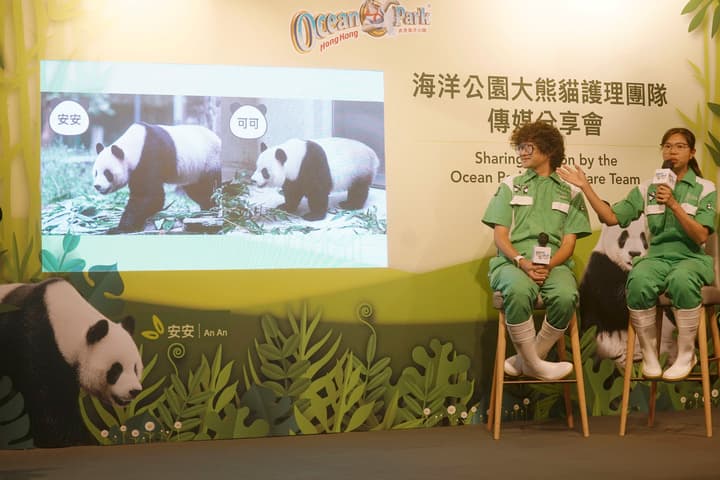 ฮ่องกงเปิดตัว 'แพนด้ายักษ์' คู่ใหม่ ยึดชื่อเดิมตอนเกิด