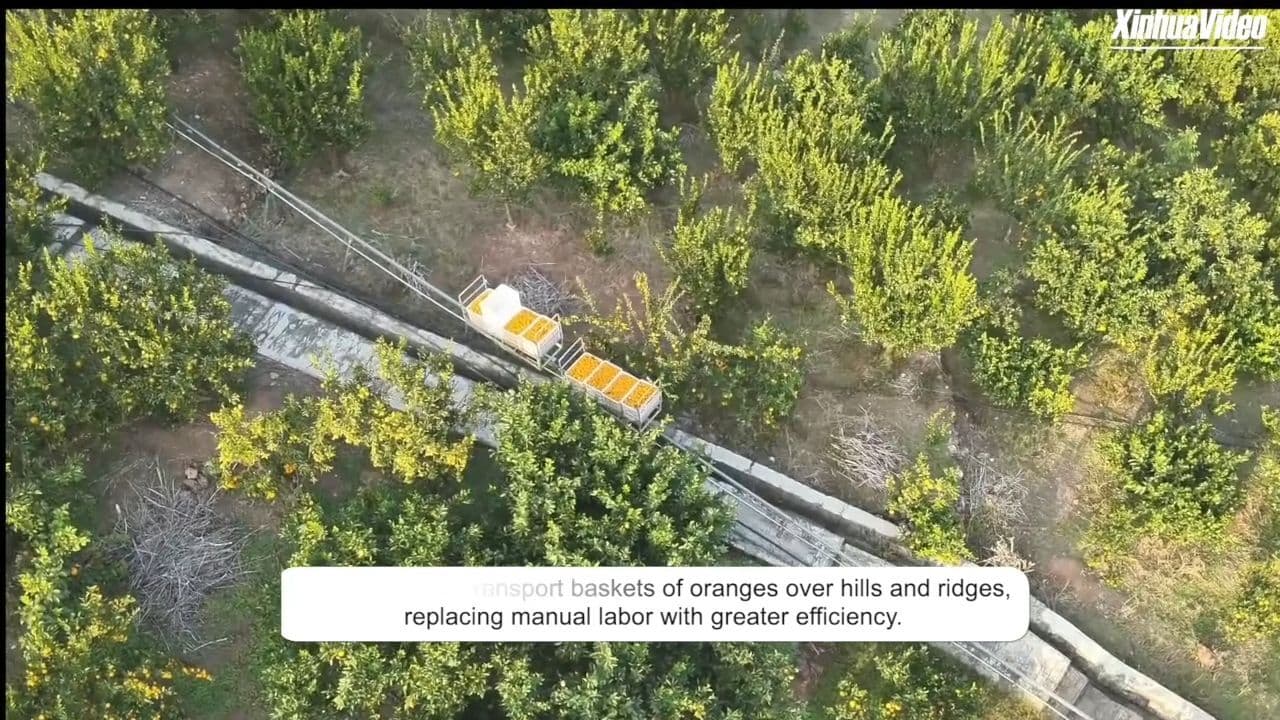 รถไฟขนส้ม' ขบวนจิ๋วในหูเป่ย ช่วยลดต้นทุน-ทุ่นแรงมนุษย์