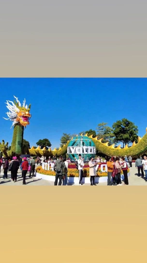 อลังการ! 'มังกร' จากต้นเบญจมาศ เลื้อยยาว 188 เมตร ในกวางตุ้ง