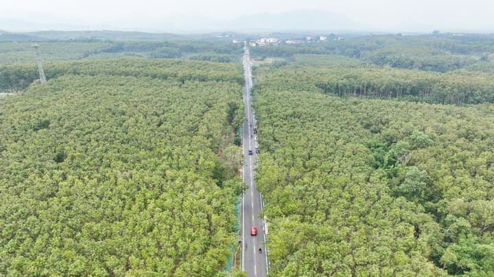 ไหหลำเปิด 'ถนนวงแหวน' วิ่งรอบอุทยานป่าฝน