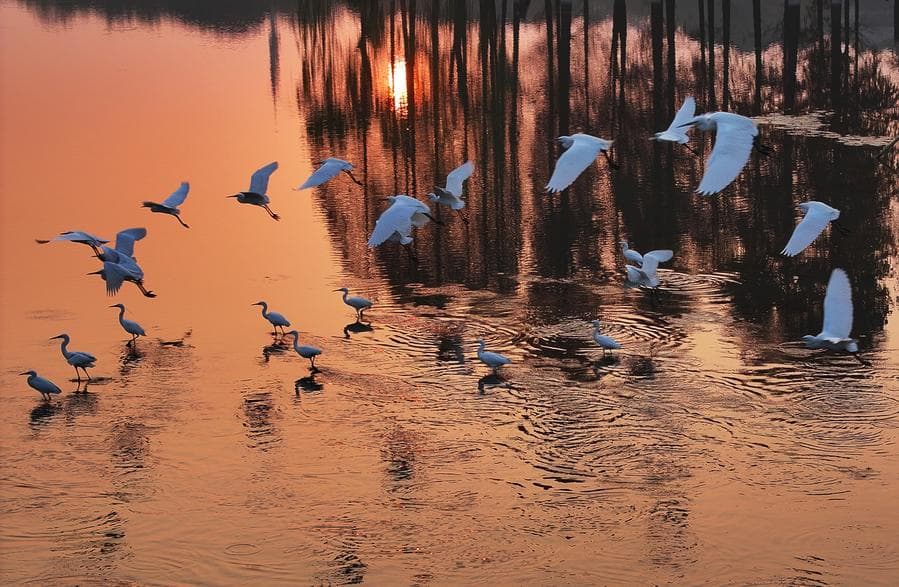 ฉากฤดูหนาวแสนสุขสงบในจีน