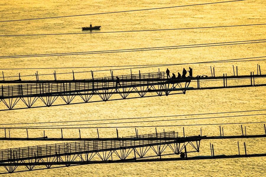 งานสร้าง 'สะพานข้ามแม่น้ำแยงซี' คืบหน้าต่อเนื่องในหูเป่ย