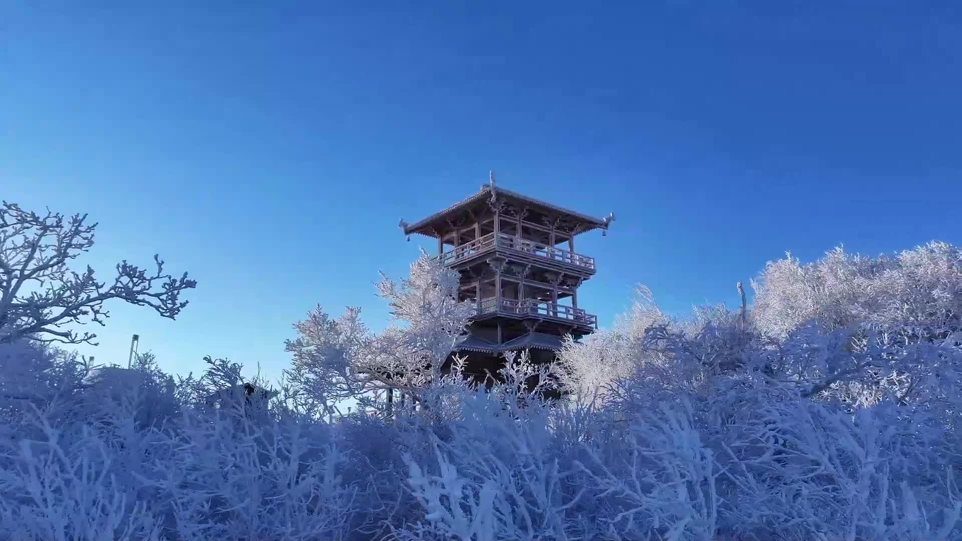 หิมะย้อมสี 'ภูเขาต้าติ่งจือซาน' ขาวโพลนในเฮยหลงเจียง