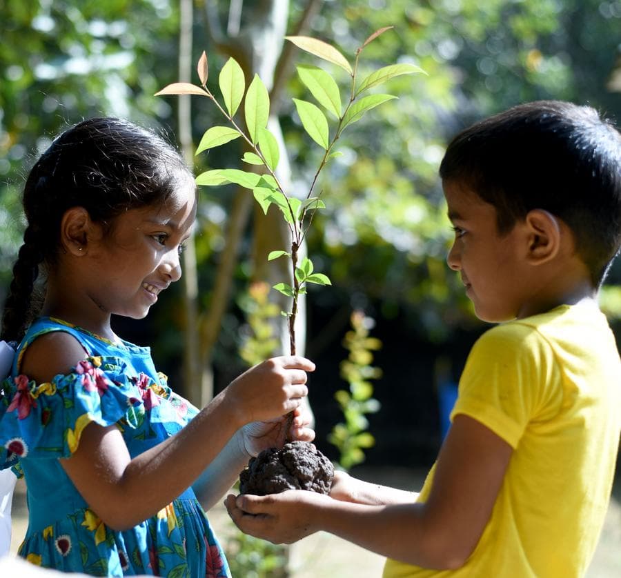หนูน้อยศรีลังกาปลูกต้นไม้รับ 'วันดินโลก