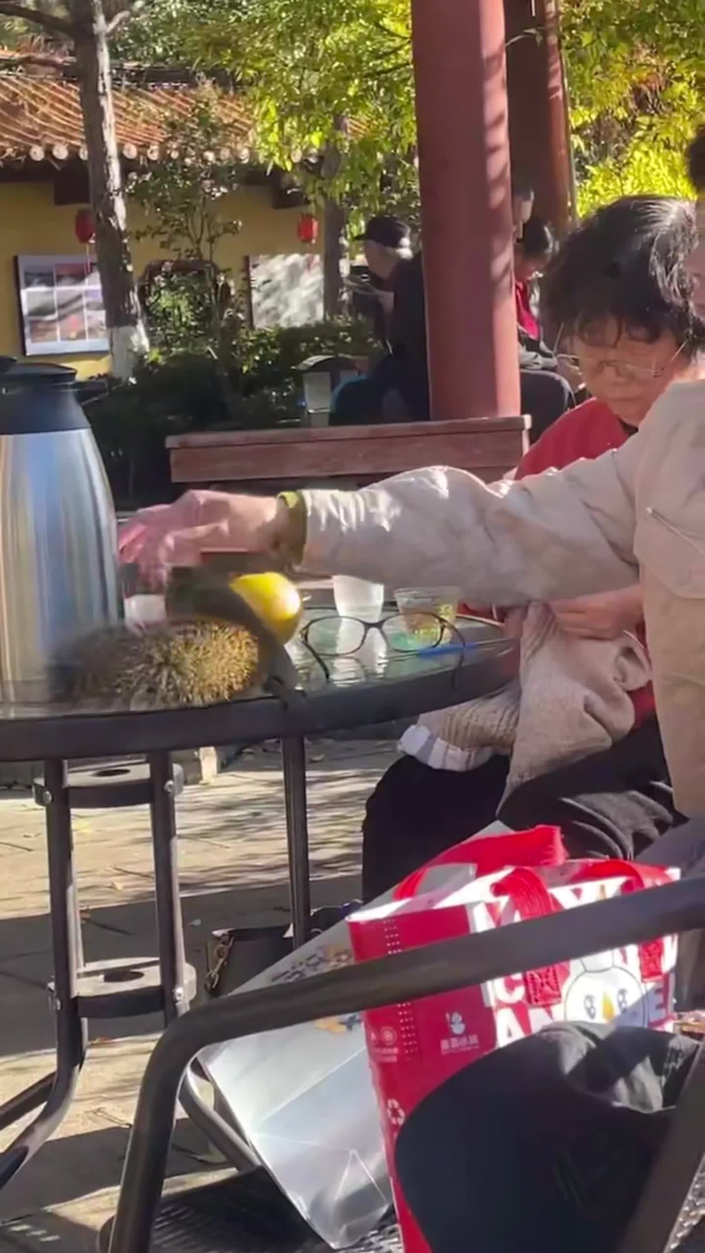 กระรอกน้อยแวะทักผู้คน ร่วมจิบชายามบ่ายในยูนนาน