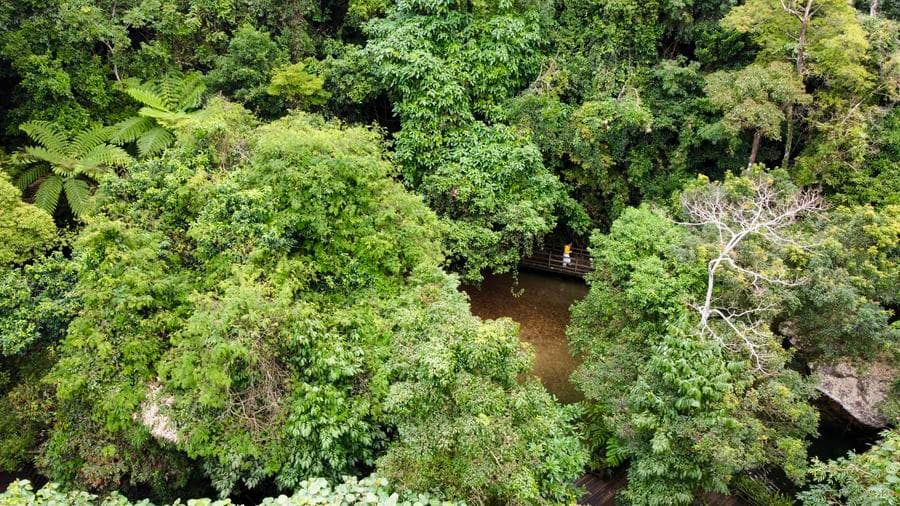 อู่จื่อซานพัฒนา 'ท่องเที่ยวป่าฝน' ธรรมชาติเขียวขจี