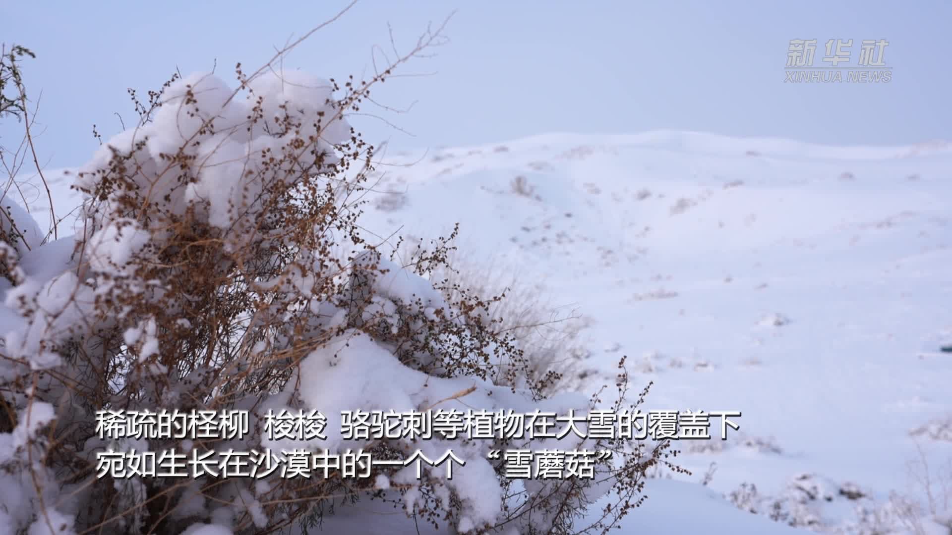 หิมะขาวห่ม 'ทะเลทรายทากลิมากัน' ในซินเจียง