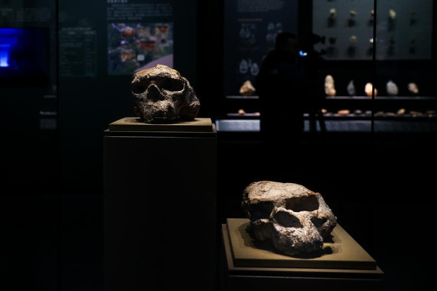 จีนเผยโฉมใบหน้า 'มนุษย์อวิ๋นเซี่ยน' จำลองจากฟอสซิลกะโหลกล้านปี