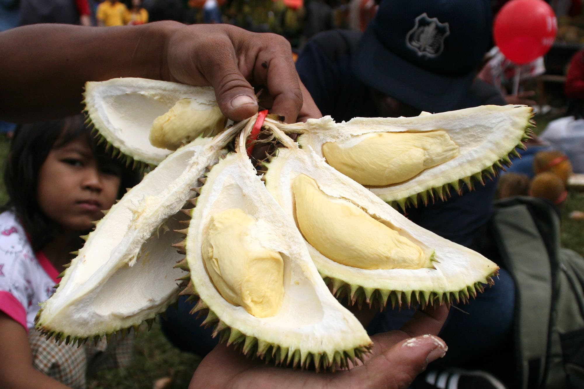 อินโดนีเซียเล็งส่งออก 'ทุเรียนสด' ตรงสู่ตลาดจีน