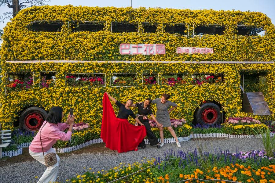 ดอกเบญจมาศ' เหลืองทอง จัดแสดงในจงซาน