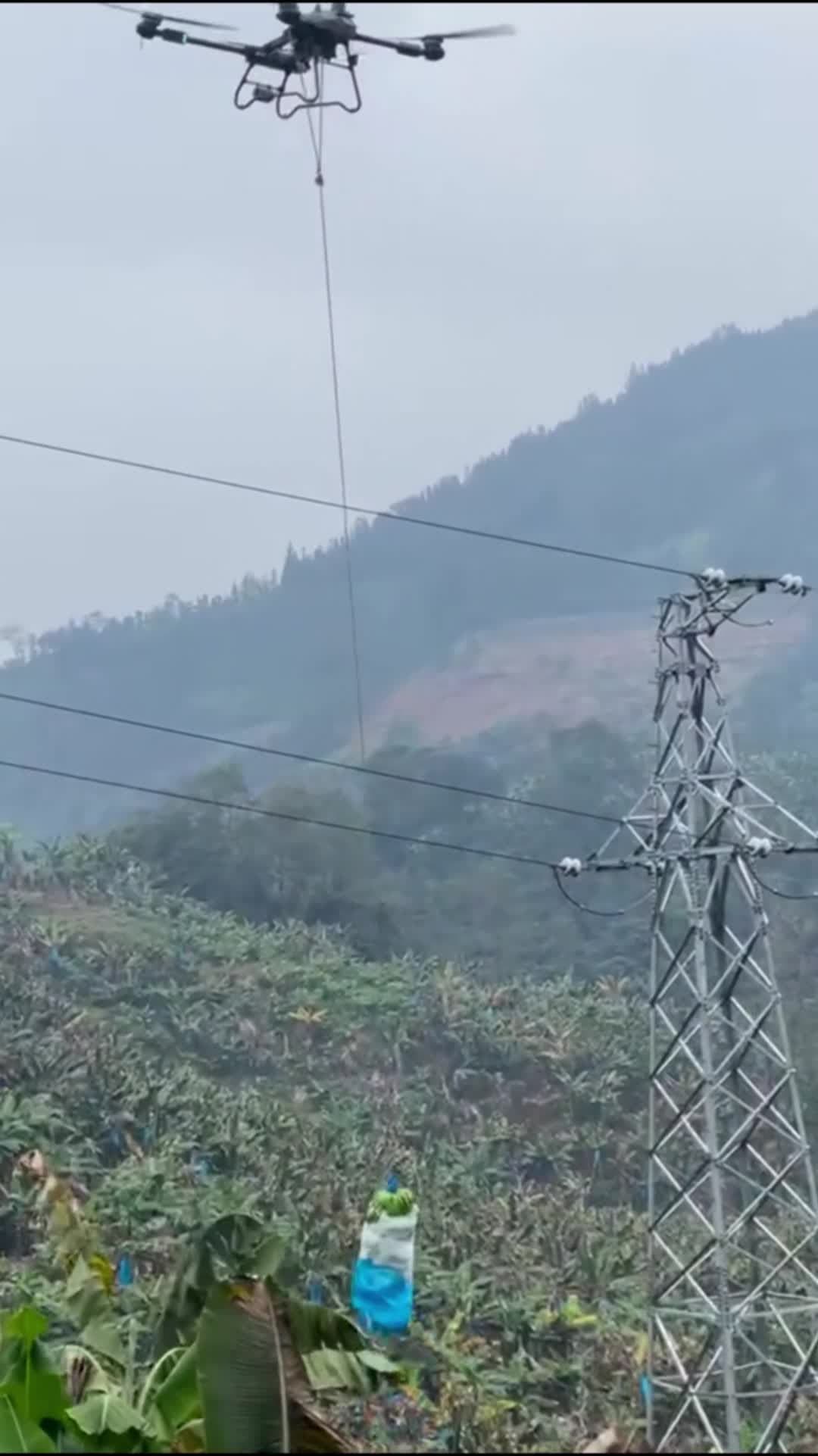 โดรนขนกล้วย' ตัวช่วยการเกษตรในยูนนาน