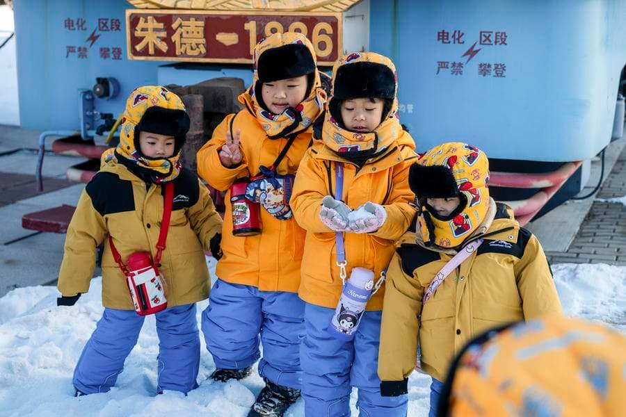 ก๊วน 'ส้มเขียวหวาน' ตัวน้อย ยกโขยงสำรวจรถไฟในฮาร์บิน