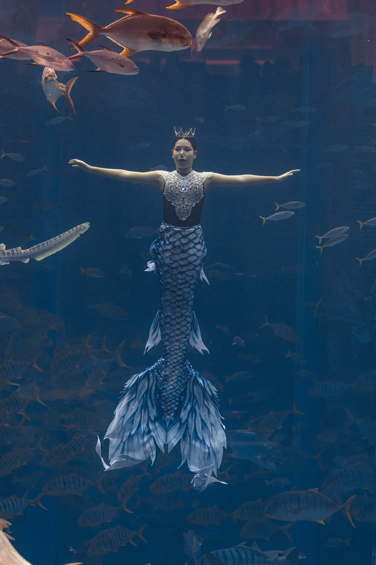 เด็กไทยร่วมชิงชัย 'เงือกสาว' เริงระบำใต้น้ำในซานย่า