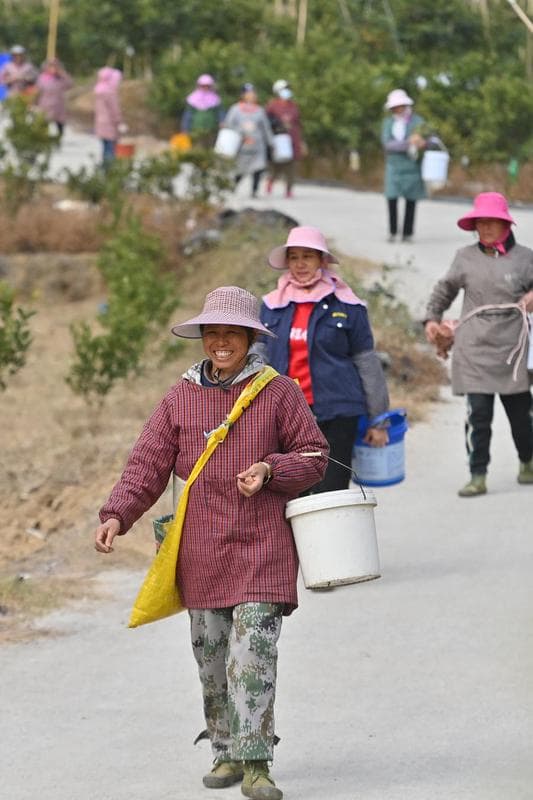 กลุ่ม 'หญิงชนบท' ออกลุยงานขันแข็งในกว่างซี
