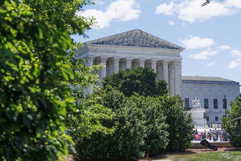 สหรัฐฯ เผยกำจัด 'แตนสังหาร' สายพันธุ์รุกรานสำเร็จ