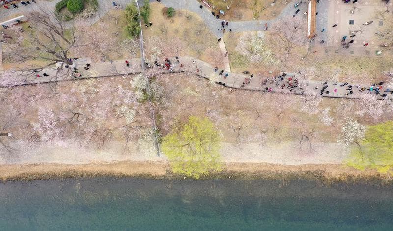 จีนพบ 'ยุ้งฉางหลวง' ยุคราชวงศ์หยวน ใช้เก็บธัญพืชขนผ่านลำคลอง