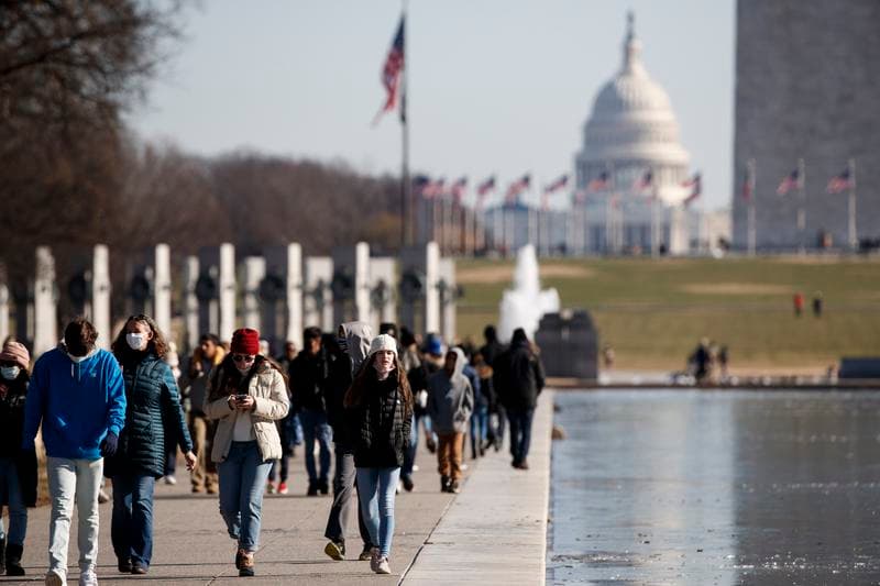 หมอสหรัฐฯ ปลูกถ่าย 'ไตหมู' ดัดแปลงพันธุกรรม ช่วยผู้ป่วยไตวาย