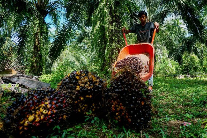 อินโดนีเซียจ่อใช้งาน 'ไบโอดีเซล บี40' ในปี 2025