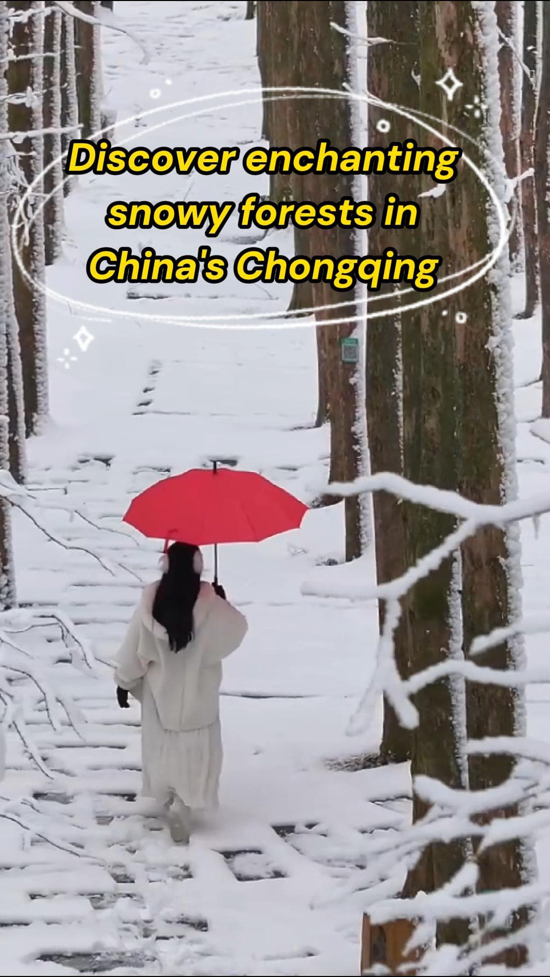 หิมะขาวย้อมสีแมกไม้อุทยาน 'ซานหวังผิง' ในฉงชิ่ง