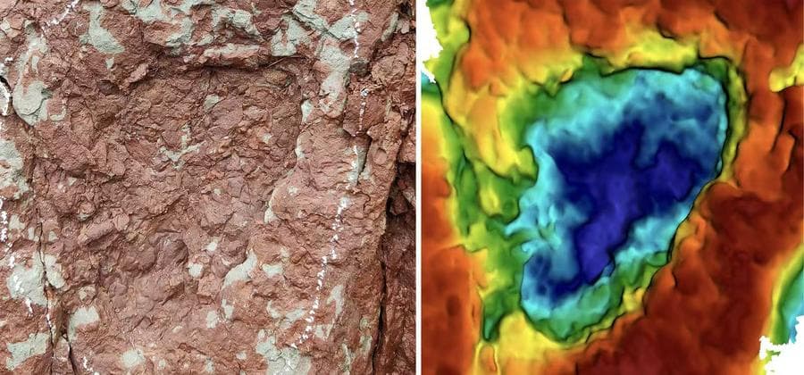 ทิเบตพบฟอสซิลรอยเท้า 'ไดโนเสาร์กินพืช' เล็กสุดในโลก