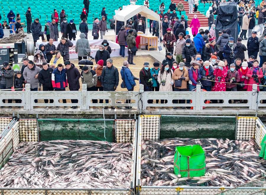 เทศกาล 'จับปลา' ในเจียงซู ชาวประมงคว้าแชมป์