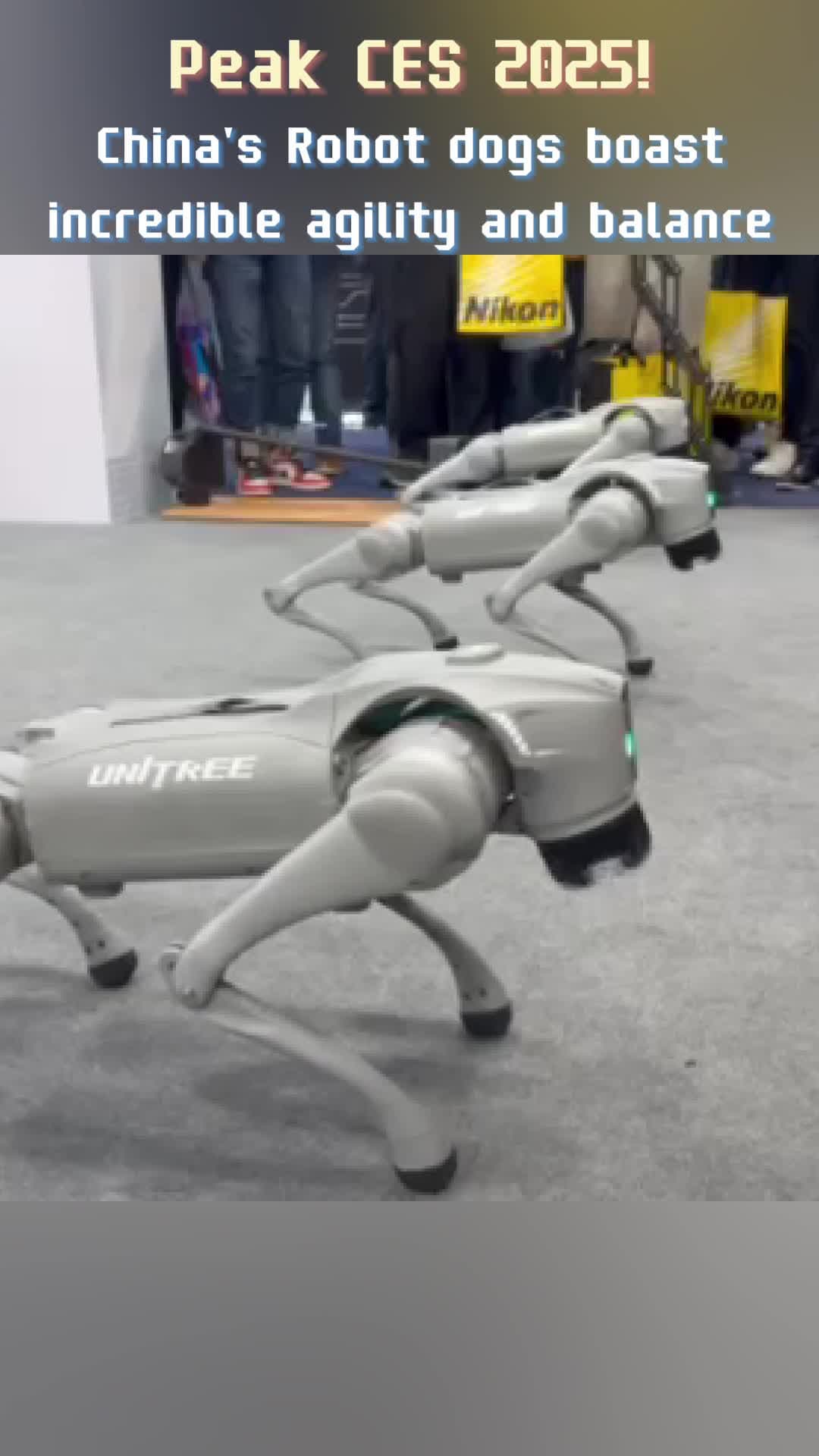 หุ่นยนต์สุนัข' ฝีมือจีน โชว์ยืนทรงตัวในงาน CES 2025