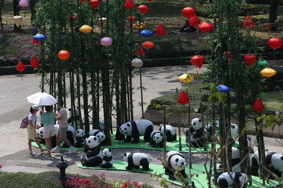 แพนด้ายักษ์น้อยใหญ่น่ารัก ต้อนรับตรุษจีนในกรุงเทพฯ