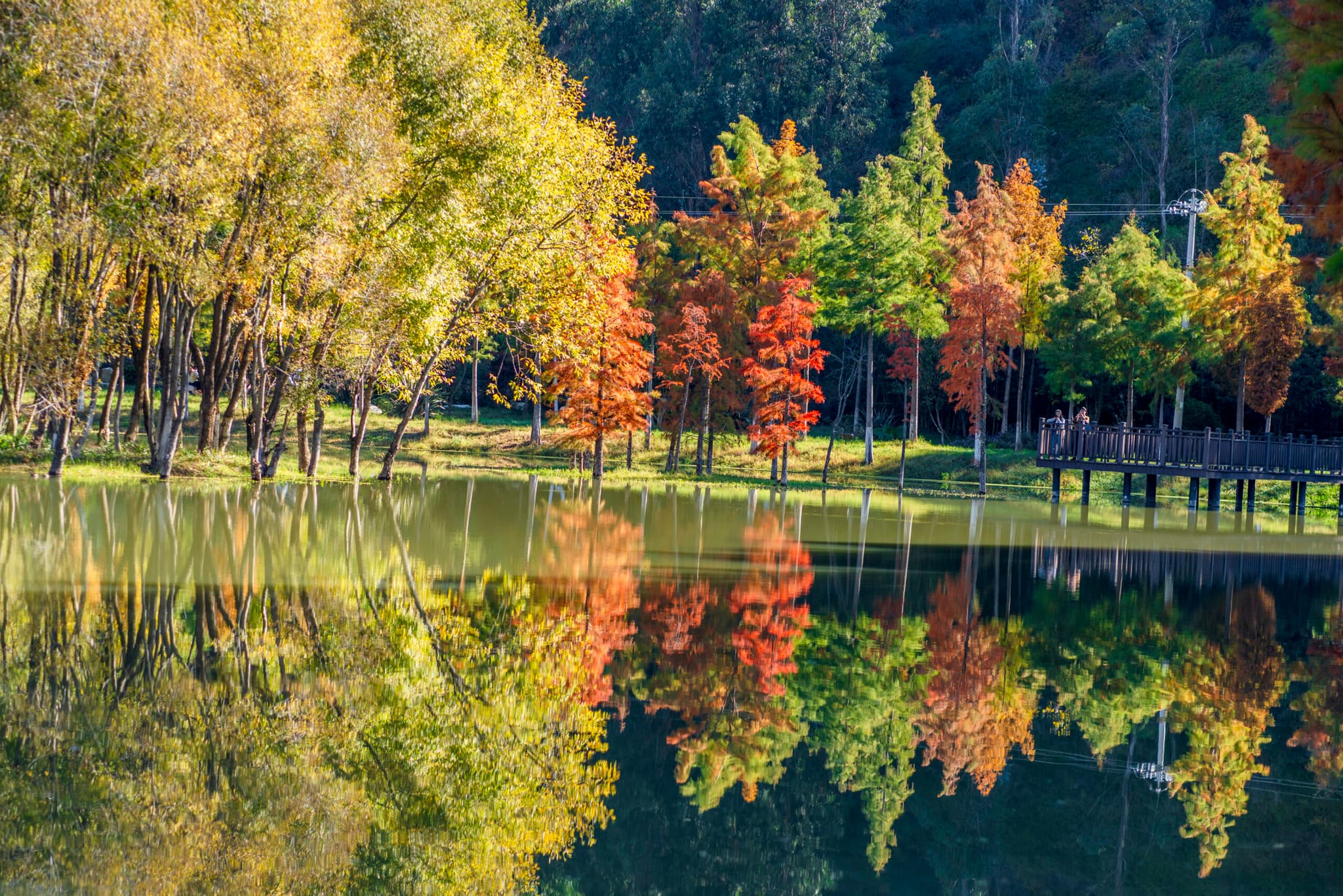 จีนพบแหล่ง 'แร่ธาตุหายาก' คาดปริมาณรวม 1.15 ล้านตัน