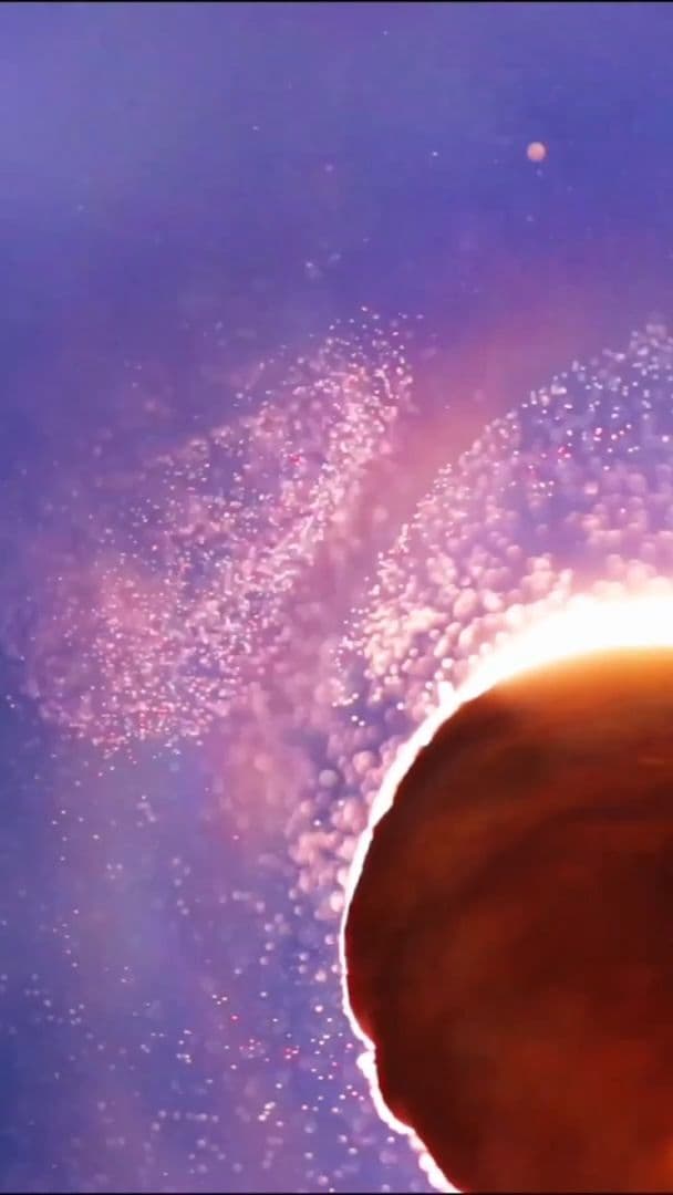 เลนส์มาโครเผยภาพ 'สปอร์เห็ด' ล่องลอยดุจหิมะโปรย