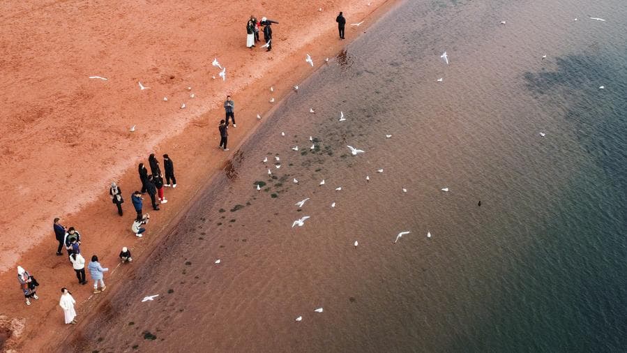 นทท.เยือน 'ทะเลสาบฝู่เซียน' รับลมชมวิวในยูนนาน