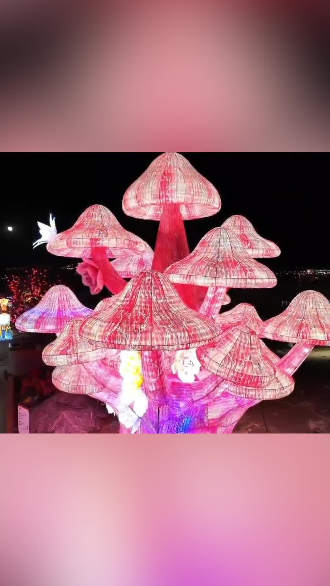 ตระการตา! แสงสี 'เทศกาลโคมไฟ' ประดับราตรีในปักกิ่ง