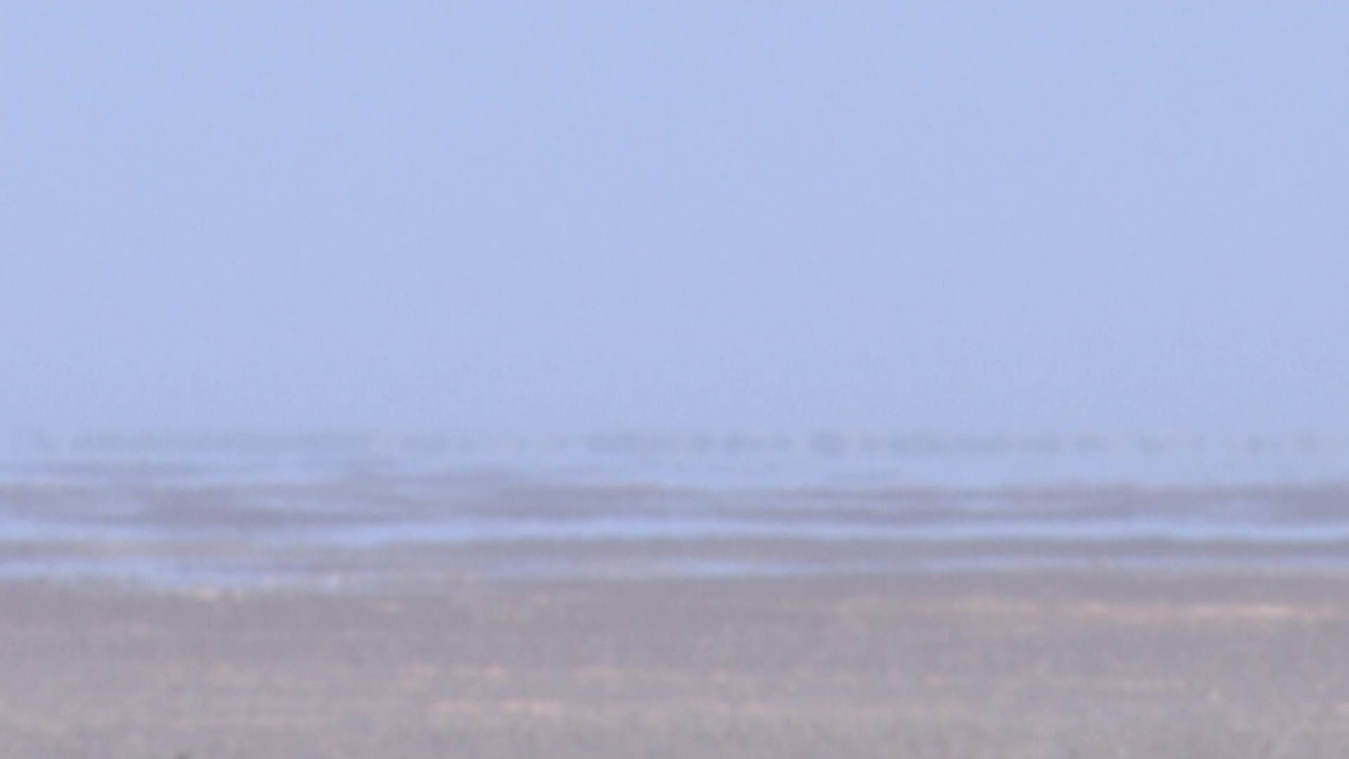 ปรากฏการณ์ 'ภาพลวงตา' ในซินเจียง เห็นทะเลสาบกลางทะเลทราย