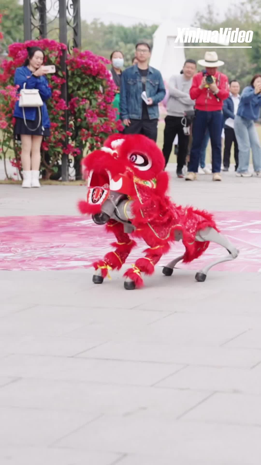 หุ่นยนต์สุนัขโชว์ 'เชิดสิงโต' แบบใหม่แบบสับในเซินเจิ้น