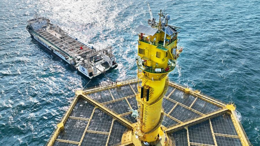 เรือประมงจับแซลมอนจาก 'กระชัง' ยักษ์กลางทะเลเหลือง