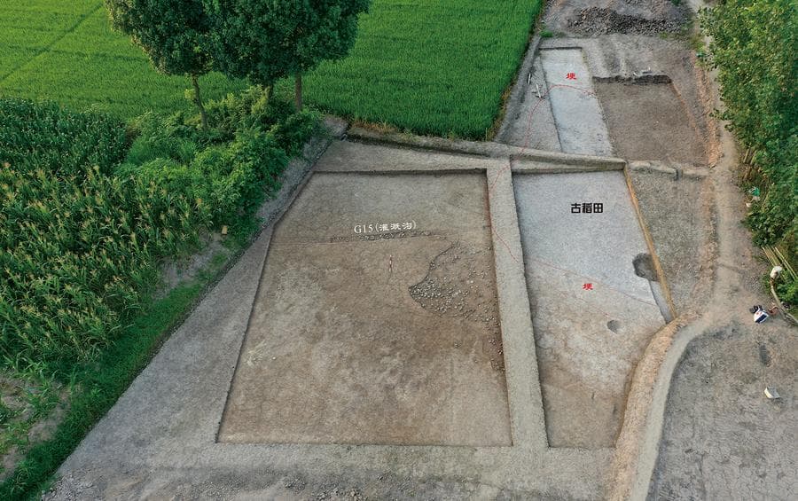 หูหนานขุดพบ 'ซากทุ่งนา' เก่ากว่า 8,000 ปี สะท้อนภูมิปัญญาคนโบราณ