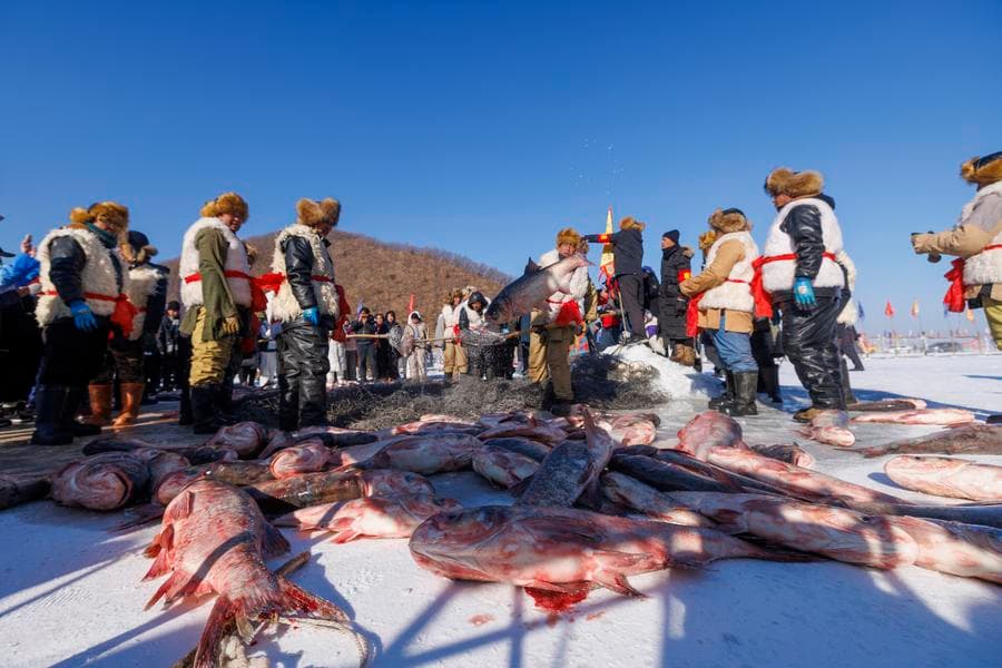 เทศกาล 'จับปลา' ทะเลสาบจิ้งโพในเฮยหลงเจียง