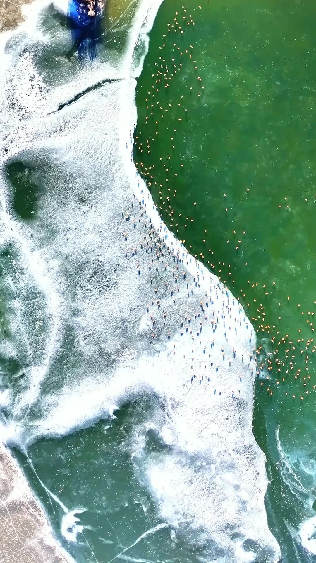 ทิวทัศน์ 'ทะเลสาบอูเหลียงซู่' ยามเหมันต์ในมองโกเลียใน