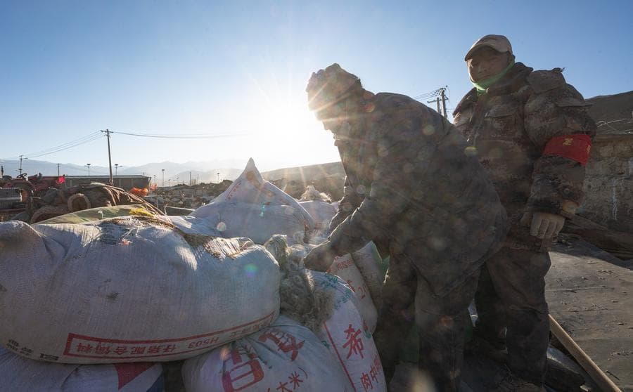 จนท.รุดช่วยเก็บกู้ 'ข้าวบาร์เลย์ไฮแลนด์' ใต้ซากแผ่นดินไหวในทิเบต