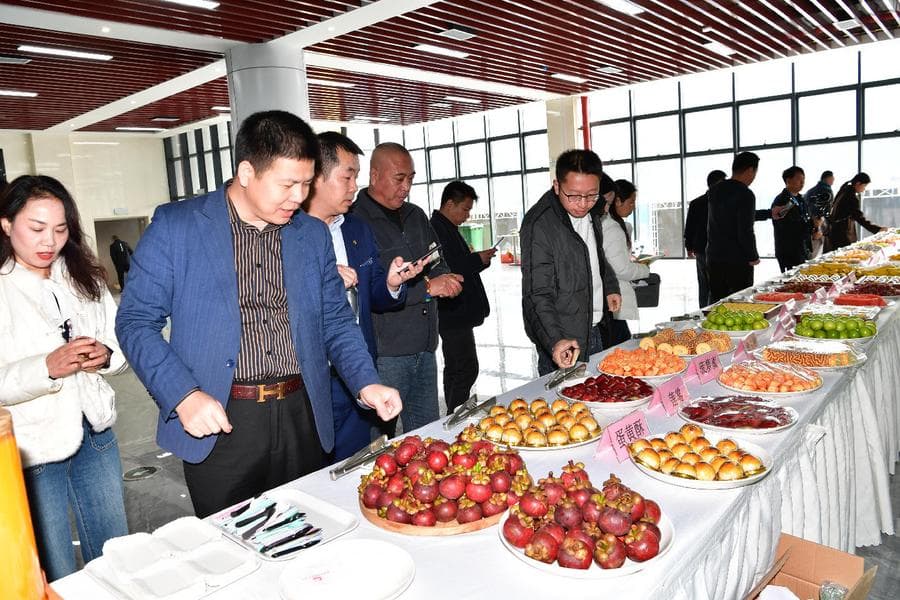 จีน-อาเซียนกระชับความร่วมมือ ค้าขาย 'สินค้าเกษตร' แบบสองทาง