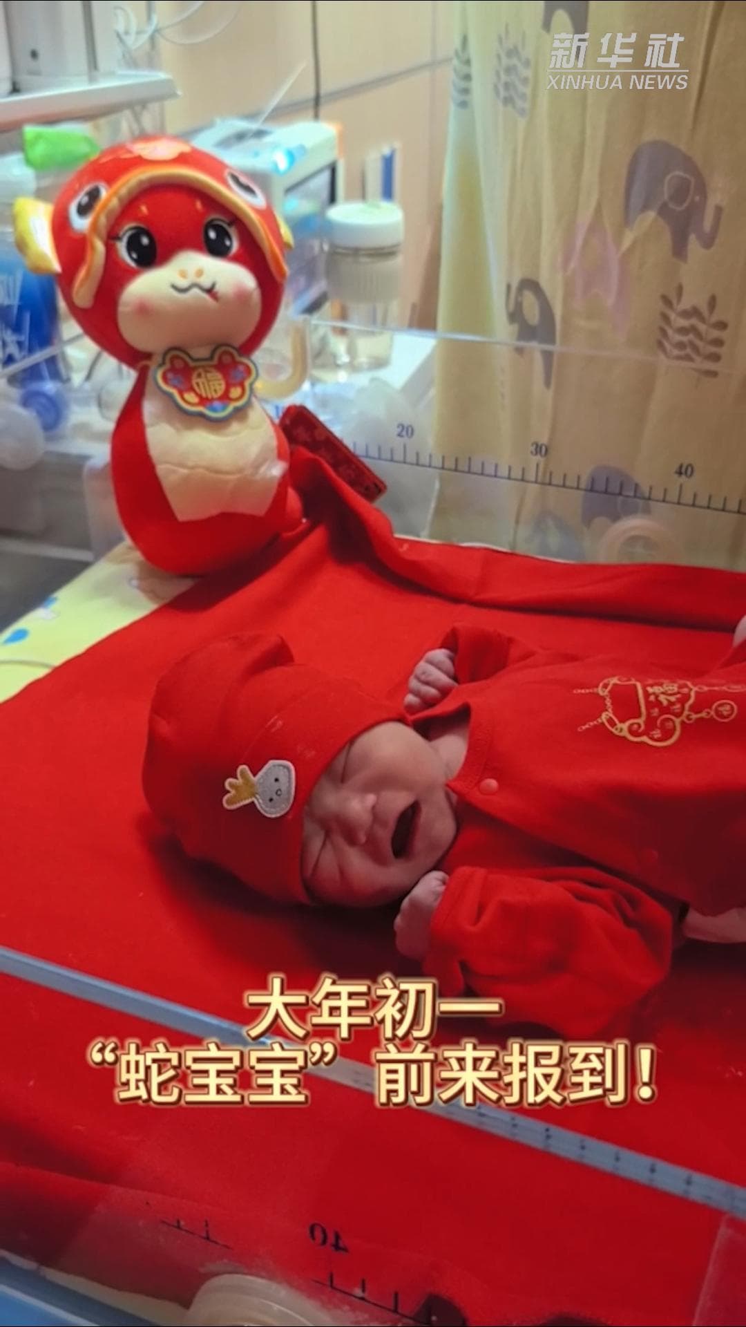 โรงพยาบาลในเหอเป่ย ต้อนรับ 'เด็กปีงู' เกิดใหม่คนแรก