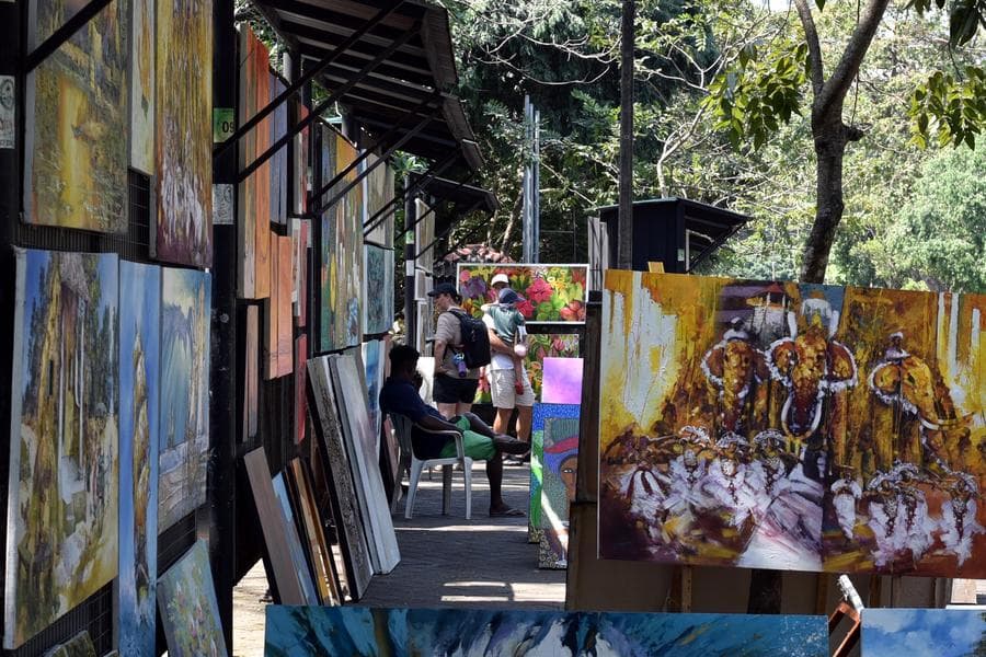 Asia Album : 'งานศิลป์ริมถนน' สวยเตะตาในศรีลังกา