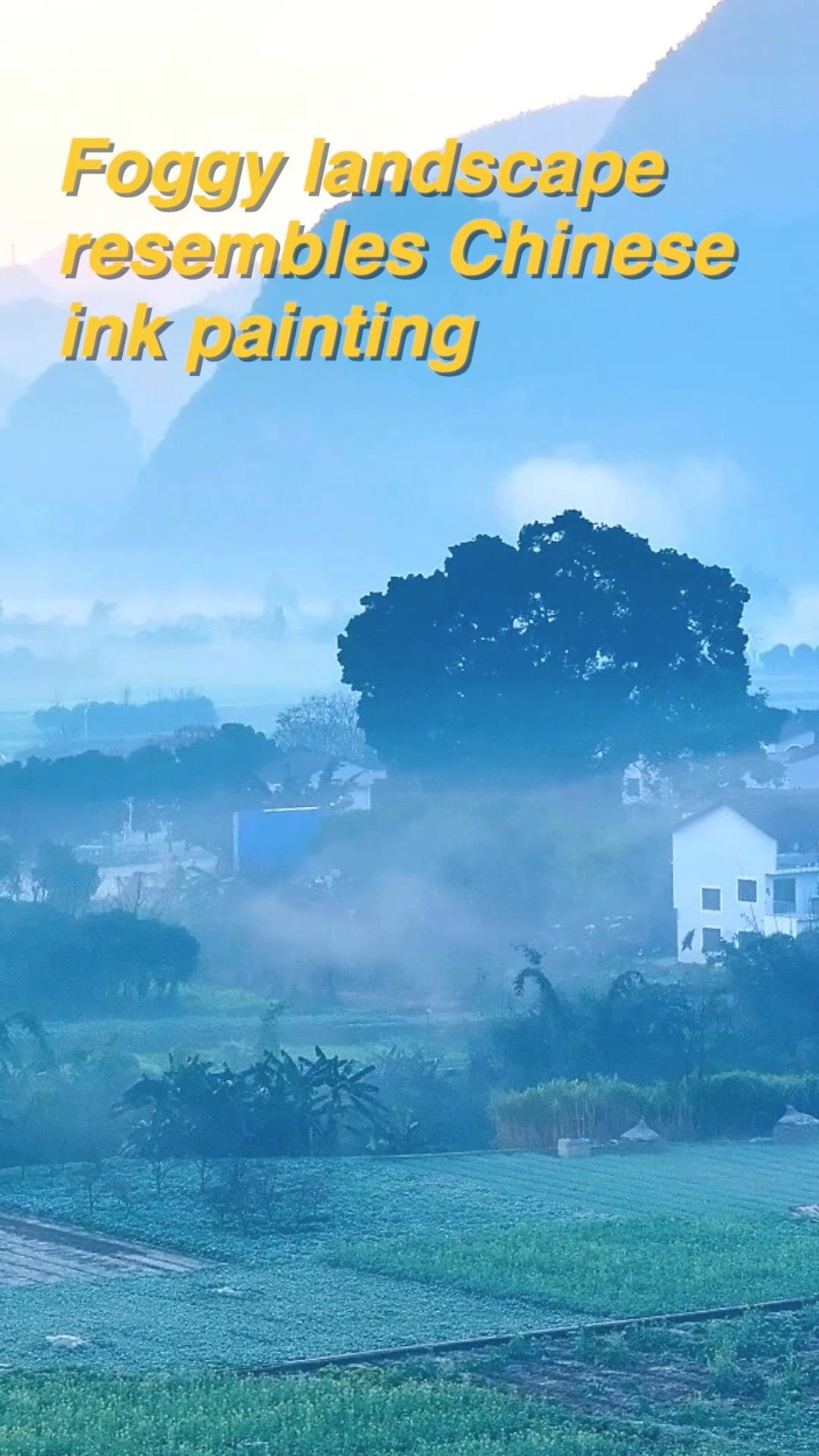 ว่านเฟิงหลิน' ยามหมอกคล้อยคลุม งามดุจภาพวาดน้ำหมึกจีน